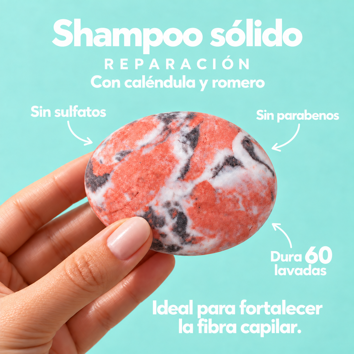 Kit Descubre tu Shampoo · 4 Shampoos Sólidos